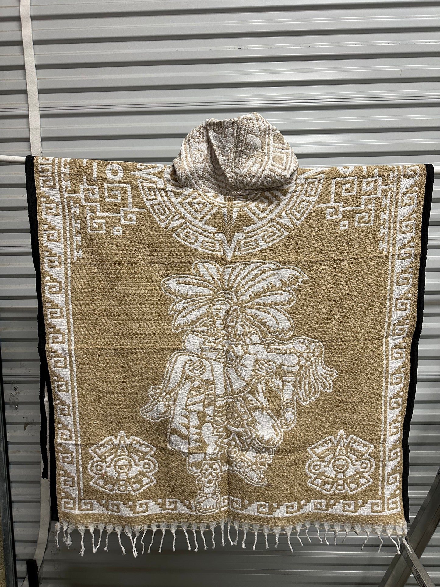 Xoloitzcuintle/Amor Eterno Gabán